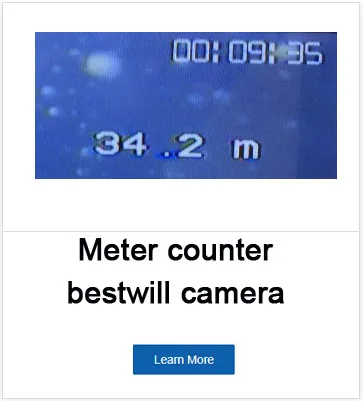 bestwill
