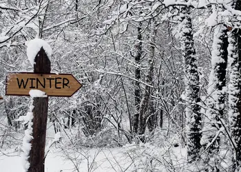 

Road Sign Text winter woods snow Forest Covered backdrop Vinyl cloth High quality Computer print scenic Backgrounds