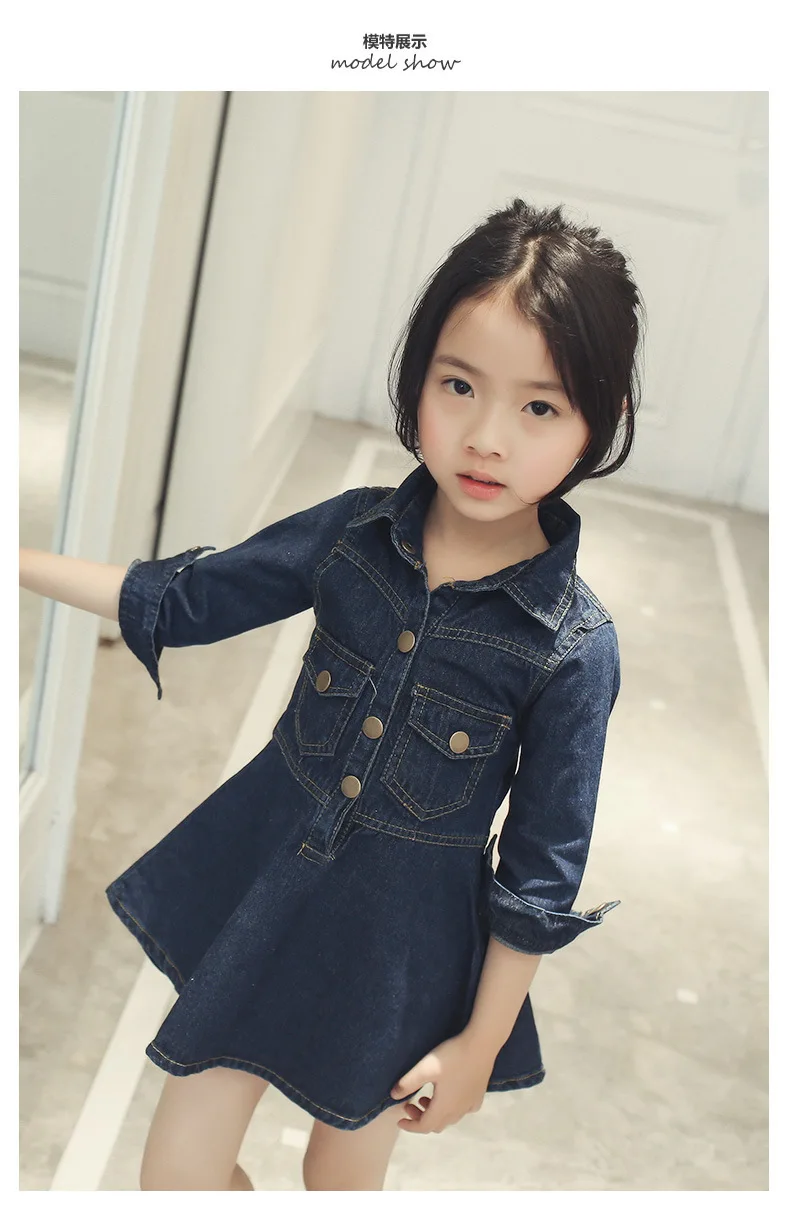 Denim Dresses (5)