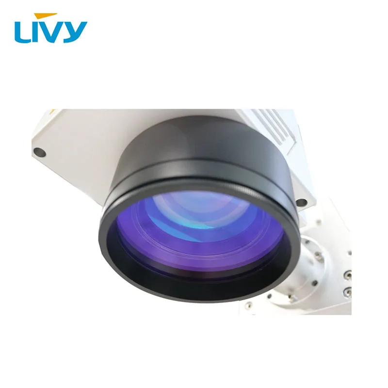  LIVY 20 watt desktop fiber laser metal marking machine red dot position system + computer with 2 ye