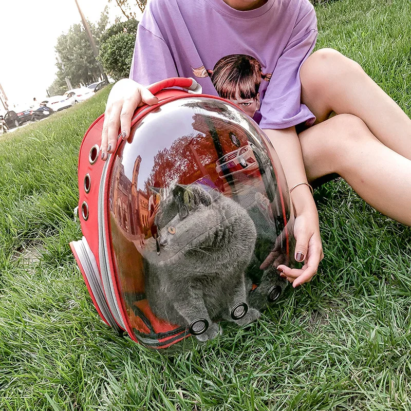 Breathable Pet Dog Cat Carriers Bag Outdoor Travel Transparent Space Pet Backpack Carry Bag Case Puppy Carriers Cat Rabbit Cage15