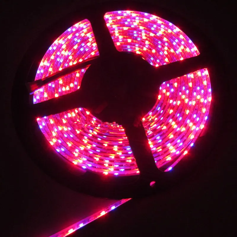 3335RGB212211