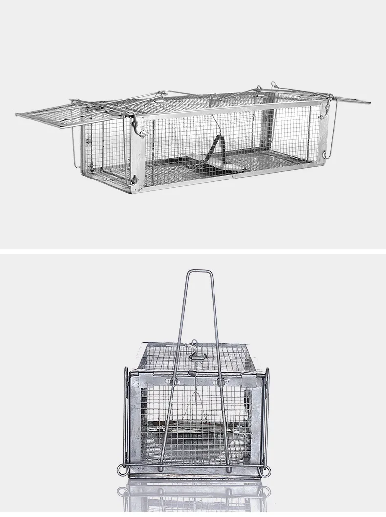 HTB1j480oAyWBuNjy0Fpq6yssXXaT