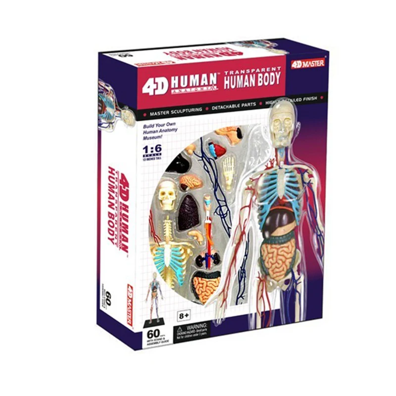 Аниме 4D Master Vision 1" прозрачное человеческое тело забавная анатомическая модель медицинская анатомическая модель скелета научные развивающие игрушки