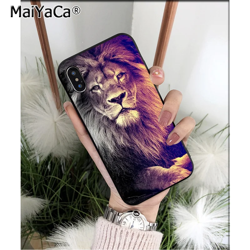Cool Animal Lion