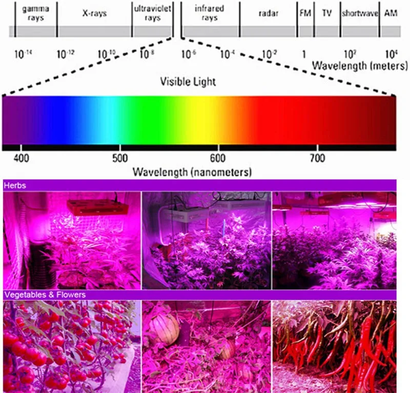 Полный спектр светодиодный завод растет чип свет 400nm-840nm 1 Вт 3 Вт 10 Вт 20 Вт 30 Вт 50 Вт 100 Вт полный спектр Растениеводство чип лампа диод