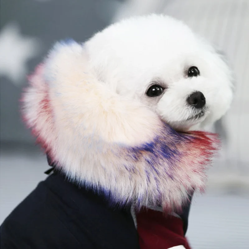 Зимняя одежда для собак роскошный меховой воротник пальто для собак для маленьких собак Теплый питомец флисовая подкладка куртка для собак домашнее животное Чихуахуа Одежда 30S1