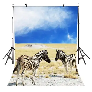 

5x7ft Zebra Backdrop Blue Sky Wasteland Zebra Nature Photography Background and Studio Photography Backdrop Props