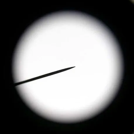 microscope-eyepiece-pointer-1.jpg