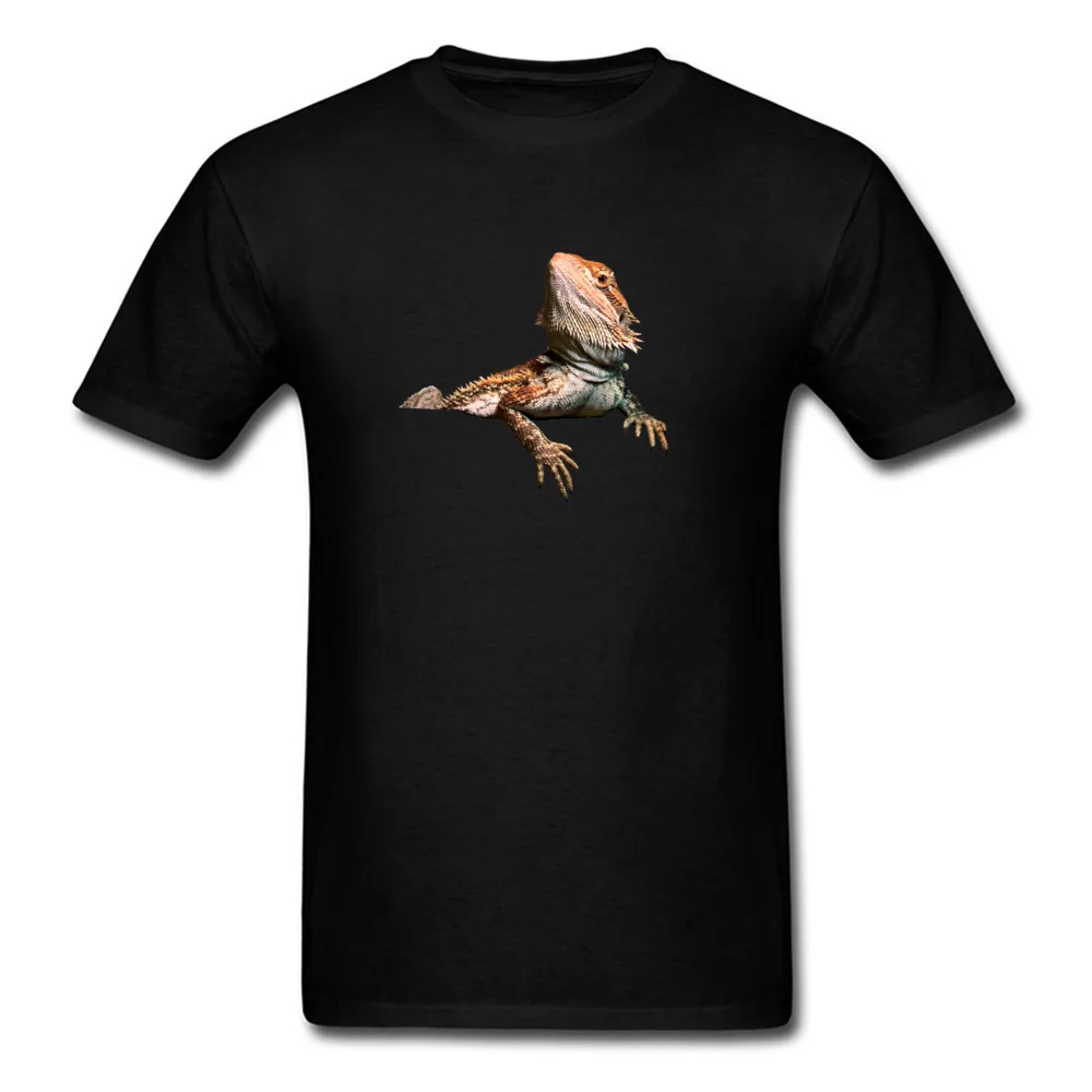 Bearded-Dragon-PNG-Transparent-Image_black