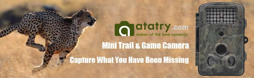 trail cameras
