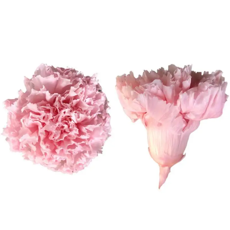 5-6 см класс вечные розы головы настоящие натуральные свежие консервированные розы, красота и чудовище навсегда Роза, Бесконтактный цветок материал