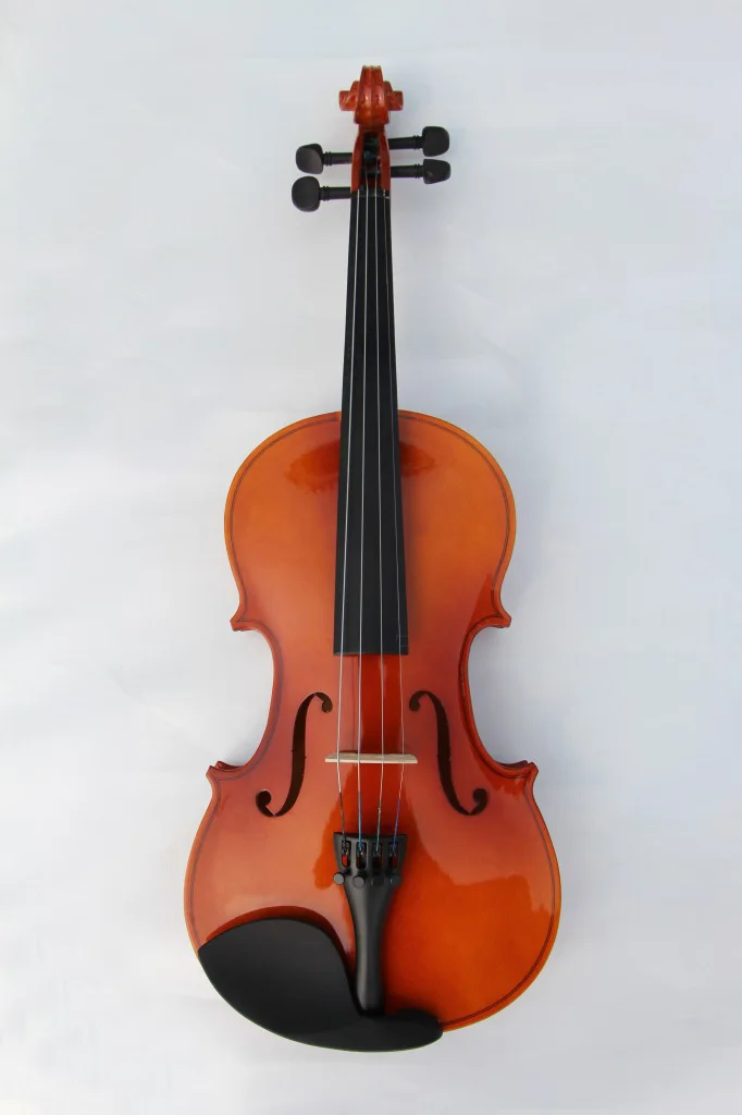 Сколько стоит скрипка для начинающих. Скрипка для новичка. Скрипка матовая. Антикварный скрипка магазин. Стеклянная скрипка.