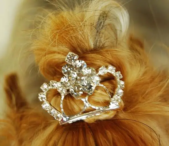 Уход за собакой Прекрасная принцесса Стразы Корона зажим Украшение для собак элегантная шпилька для волос 20 шт./лот