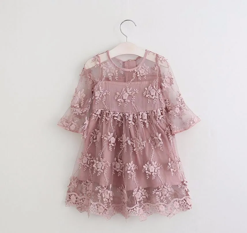 Image Newest Summer Style white Dusty Pink Tulle Girls lace Dress With Exquisite Embroidery Classic princess Easter Dress for toddler