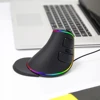 Delux M618Plus RGB Ergonomic Vertical Mouse 6 Buttons 4000 DPI Optical Computer Mice With Removable Palm Rest For PC Laptop ► Photo 3/6