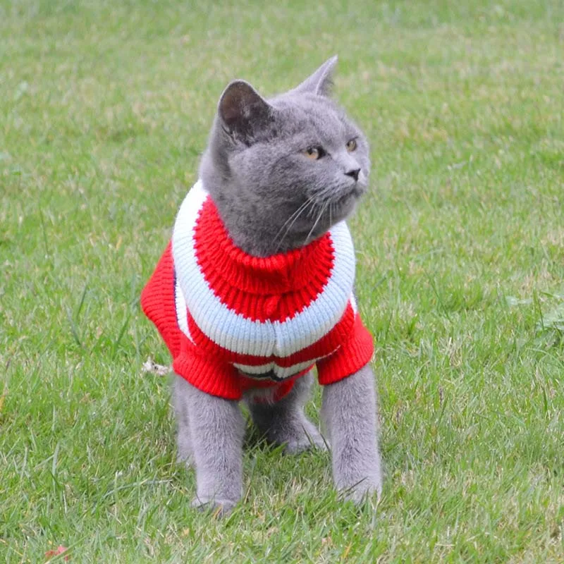 BEST QUALITY Leisure Pet Cat Sweater Winter Warm Cotton Cat Clothes for Small Cats Kitten Coat Jacket Kitty Knit