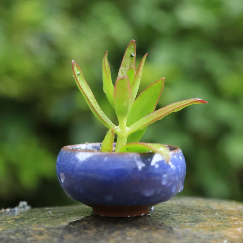 1492956809_1706585188