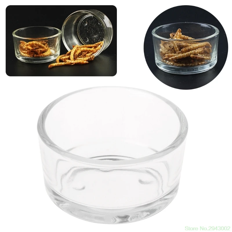 

New Reptile Feeder Water Food Glass Bowl Cup Lizard Turtle Cricket Basin Feeding