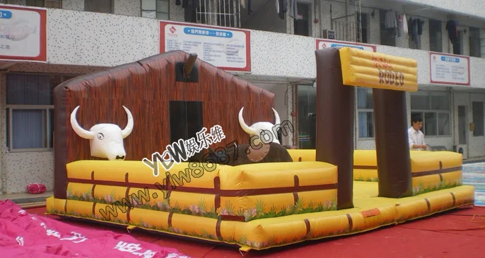 bull-3