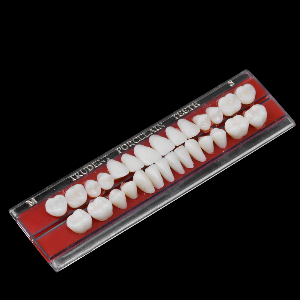 Online Buy Wholesale porcelain denture teeth from China porcelain