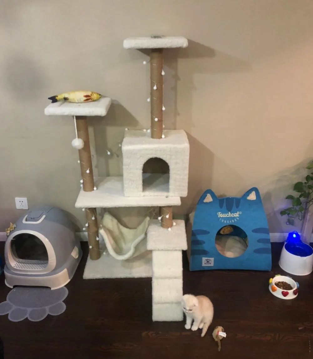 QQ20180613094338