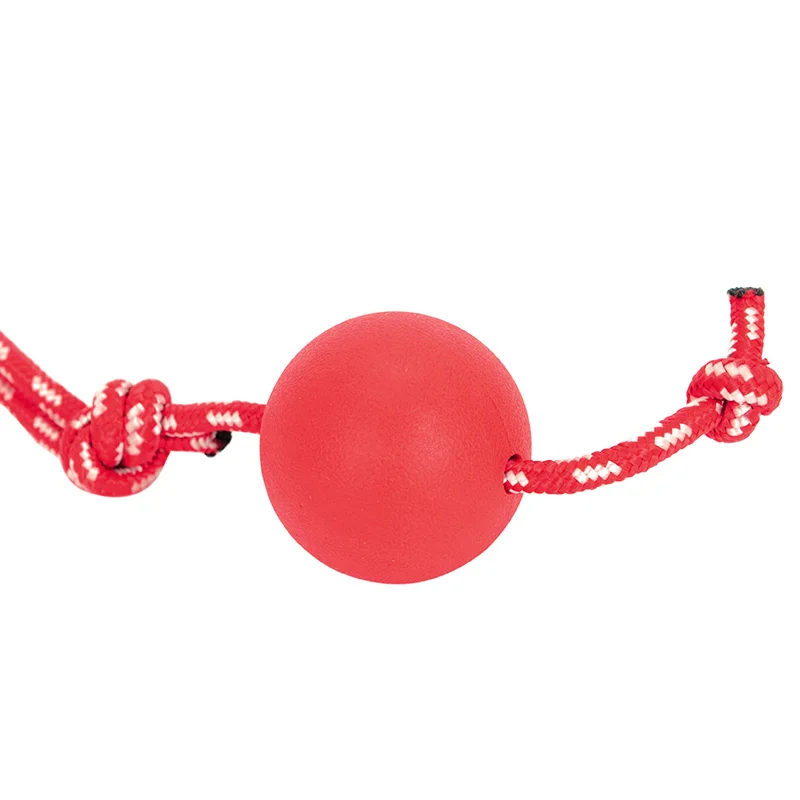 HOOPET Dog Toy With Rope Resistant Biting Rubber Ball Three size Play Product