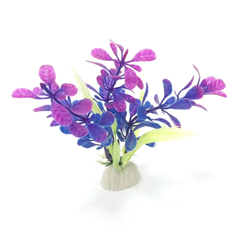 aquarium plants 08
