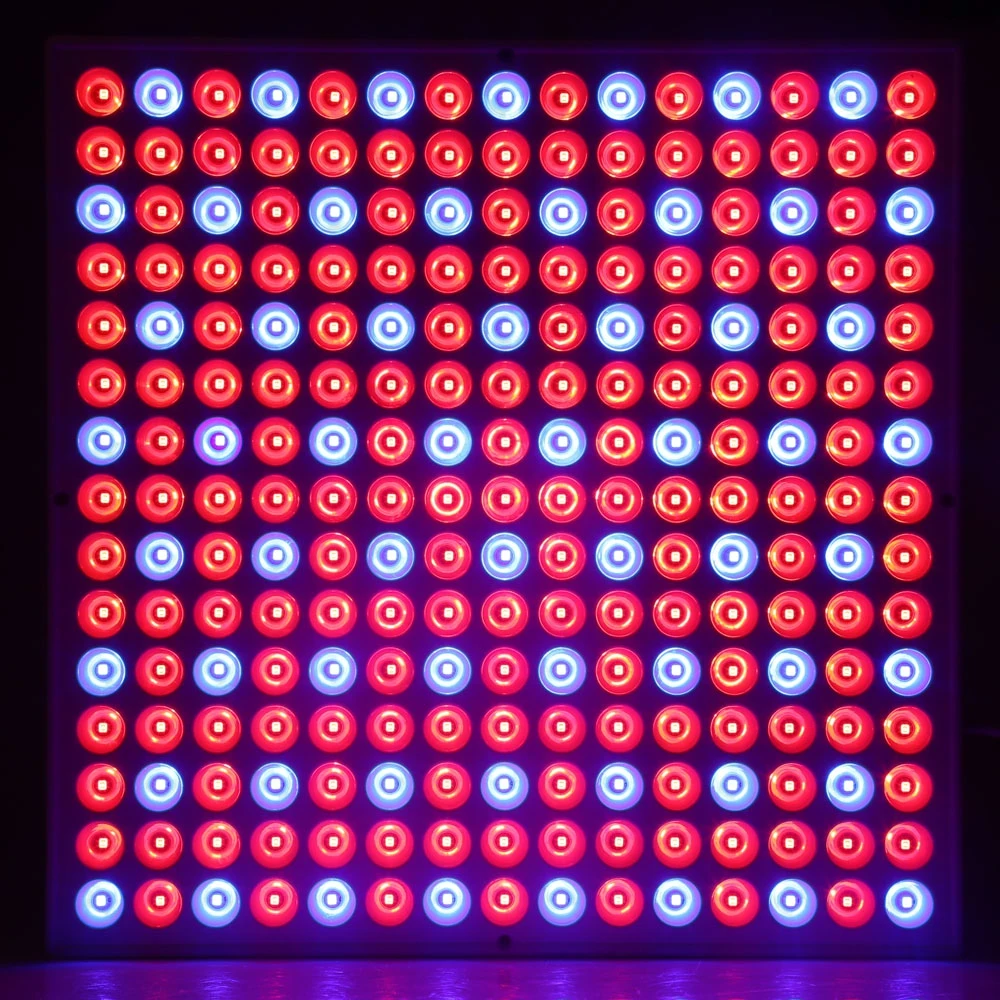 

45W Full Spectrum LED Grow Light Red Blue light for hydroponics and Flower seeds indoor plants Greenhouse Phytolamp LED Lamp