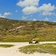 Rugged eastern side of an island  Aruba Poster Print (18 x 6)