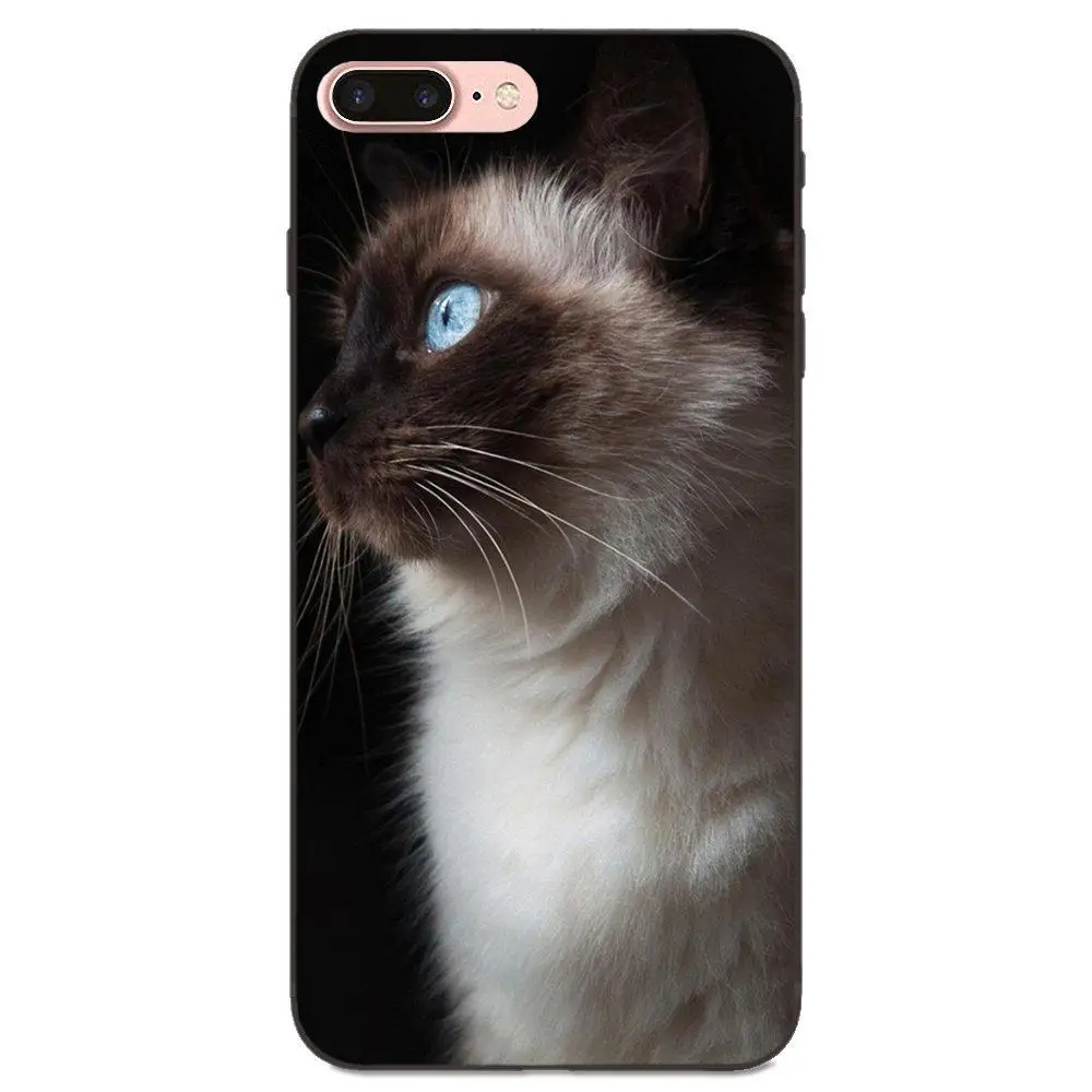 Мягкие сумки из ТПУ чехлы забавные сиамские кошки Pet для Galaxy C5 C7 J1 J2 J3 J330 J5 J6 J7 J730 2017