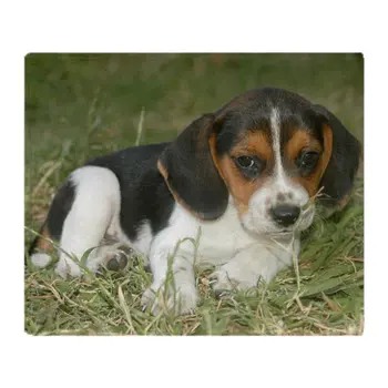 

Sweet Puppy Soft Fleece Throw Blanket Soft Flannel Blanket to on for the sofa/Bed/Car Portable Plaids