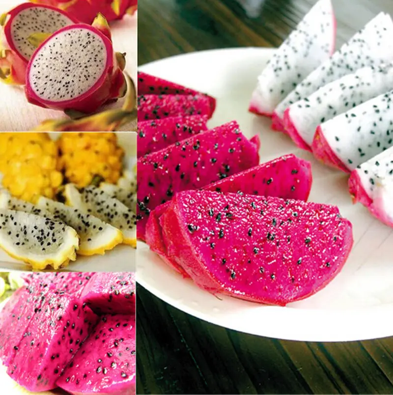 

100 Pcs ORGANIC Dwarf Pitaya Dragon Fruit Pink White Sweet Multicolor