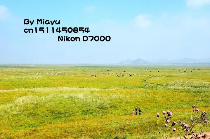 HTB1h627GXXXXXXhXXXXq6xXFXXXP