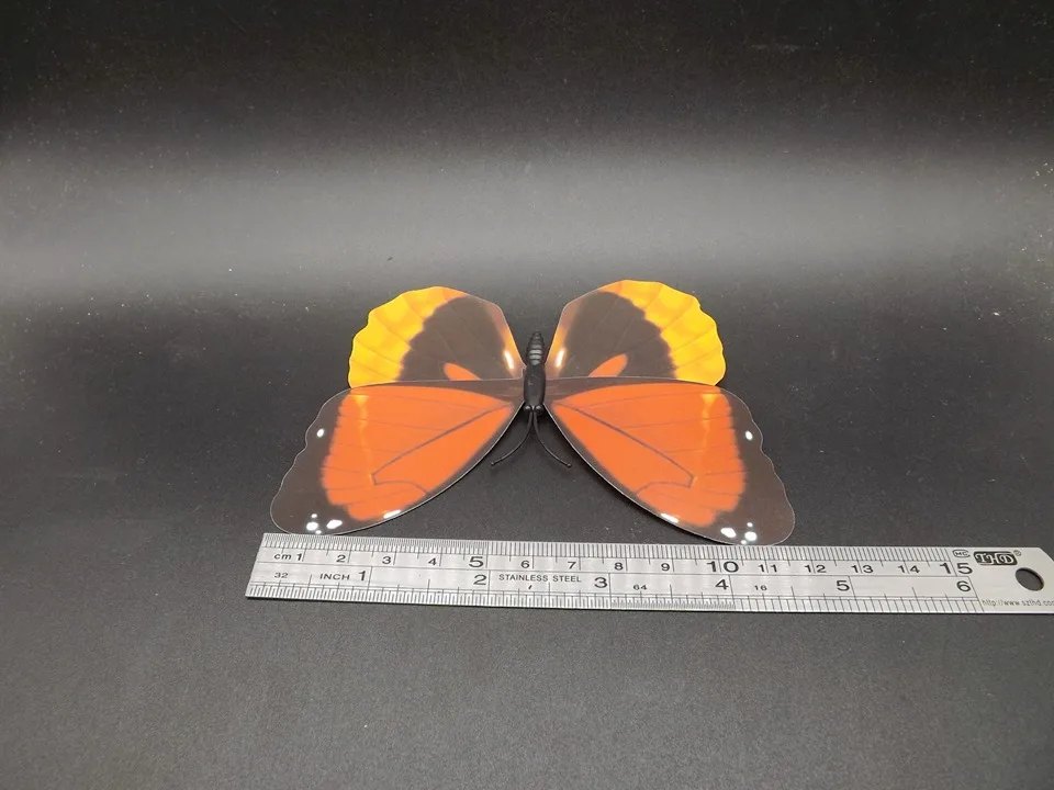 I227-Butterfly (11)