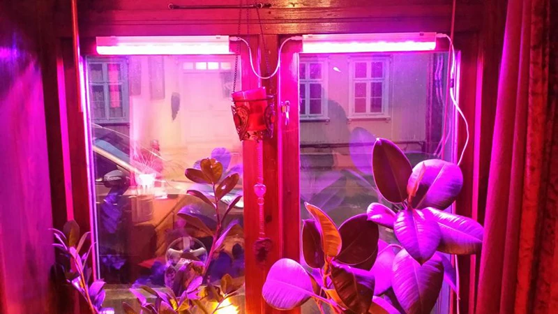 UT8iqlSXY8XXXagOFbXK