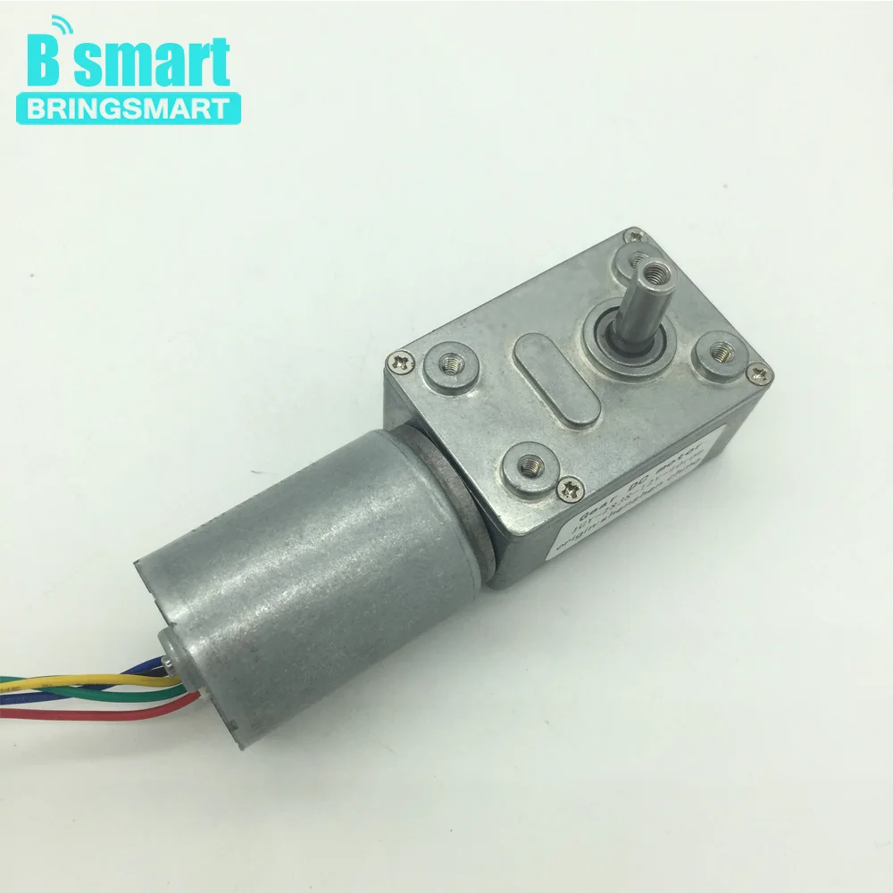 

Bringsmart Wholesale JGY-2838 12v Worm Motor 12V-24V micro Turbo-reducing Motor for robot DIY part Driver Self-lock