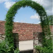 Free shipping,140*38*240cm high,Simple flower arch gardening gourd vines frame road lead rattan vine Iron.wedding decorative