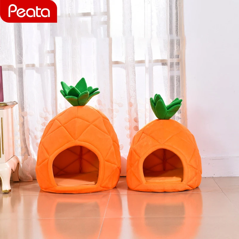 pineapple cat house