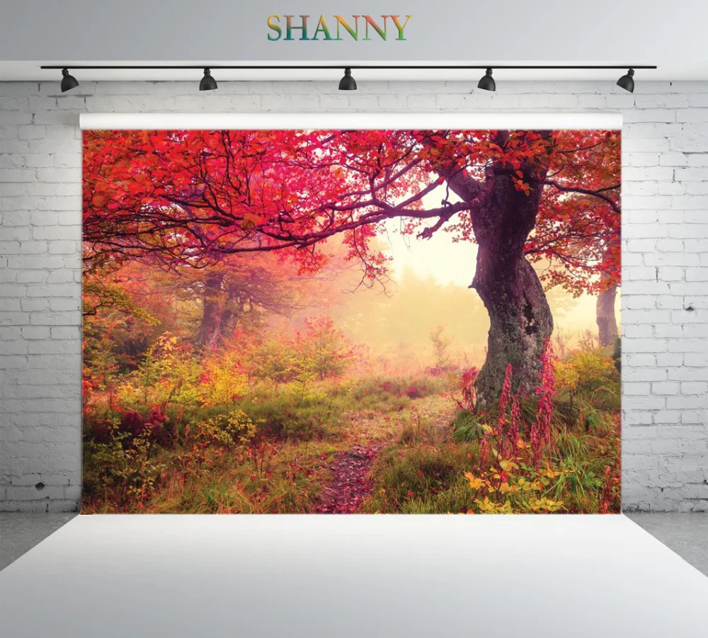 

SHANNY Vinyl Custom Photography Backdrops Props Autumn Scenery theme Photo Studio Background ML-17