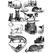 65 Koleksi Gambar Sketsa Hewan Harimau Gratis Terbaru