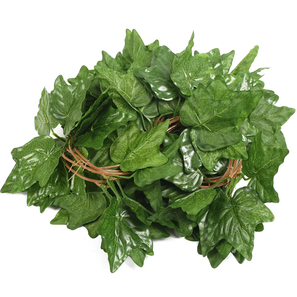 compare prices on boston ivy vine- online shopping/buy low price compare prices on boston ivy vine- online shopping/buy low price