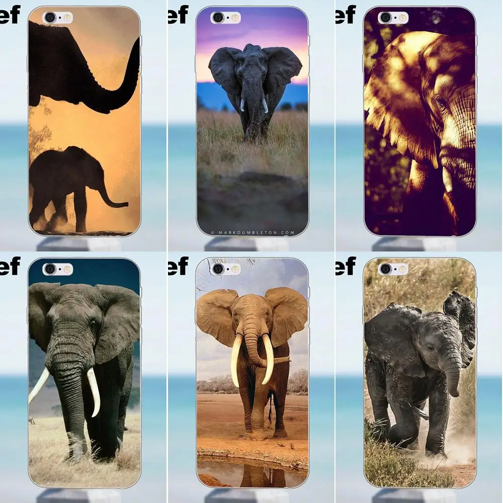 Soft Protective Case African Elephants For iPhone 4 4S 5 5S 5C SE 6 6S