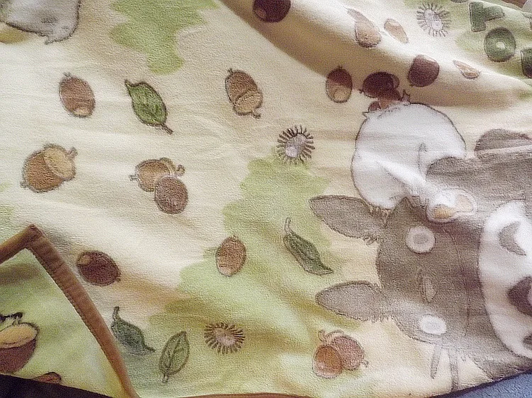 10458767952_620641128