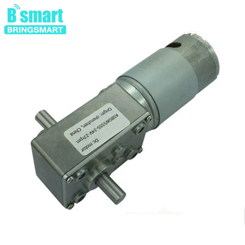 Bringsmart Wholesale A58SW-555S 6- 24v Worm Geared Motor 12v Double Shaft Reverse Motor DIY Robot Door Lock Self-lock Motor