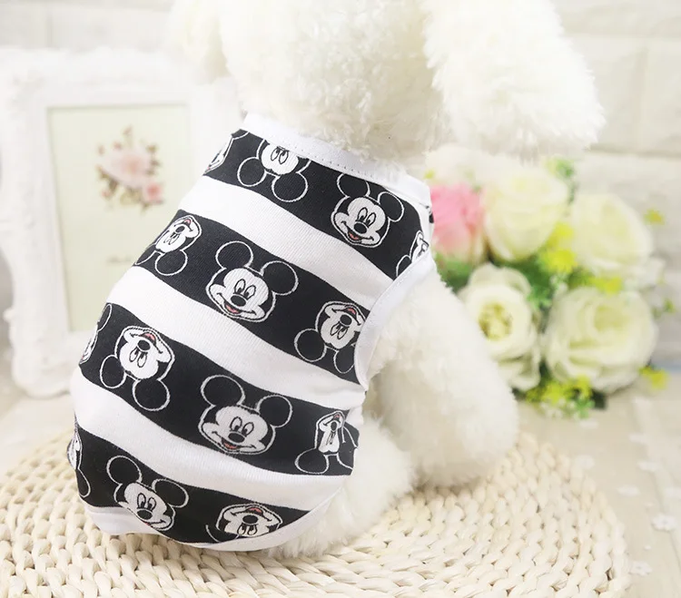 3989012816_799069744