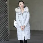 Best Price as low as $280 Wholesale Apparel & Accessories