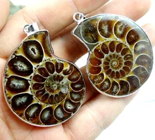 Natural iridescent Ammonite Fossils Specimen stone pendant Nautilu Pompiplius Ocean Fish Tank Stones Healing 1Pc