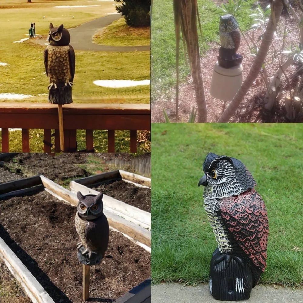 owl decoy (11)