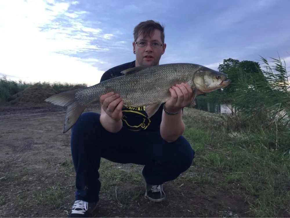 MIZUGIWA рыболовная Мягкая приманка, наживка Zabder, пресноводная, кудрявая, Shad, щука, бычок, воблер, зальт, Тролль, Джеркбейт, мускусный, 3D глаза